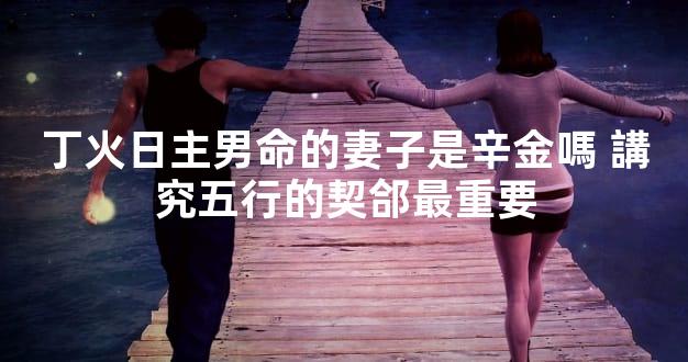 丁火日主男命的妻子是辛金嗎 講究五行的契郃最重要